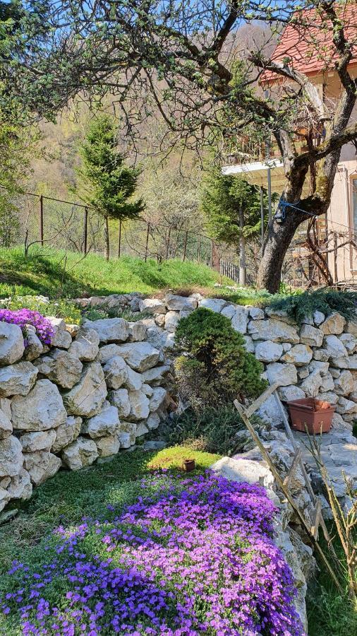 Bran 99 Villa Exterior photo
